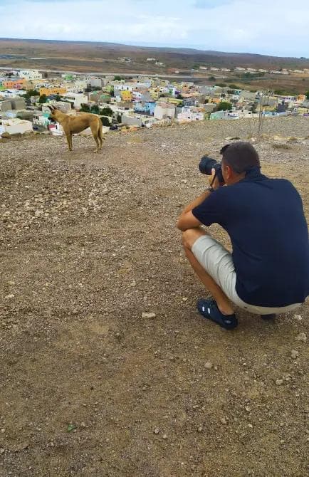Fotograf uchwytujący widok psa na tle miasta